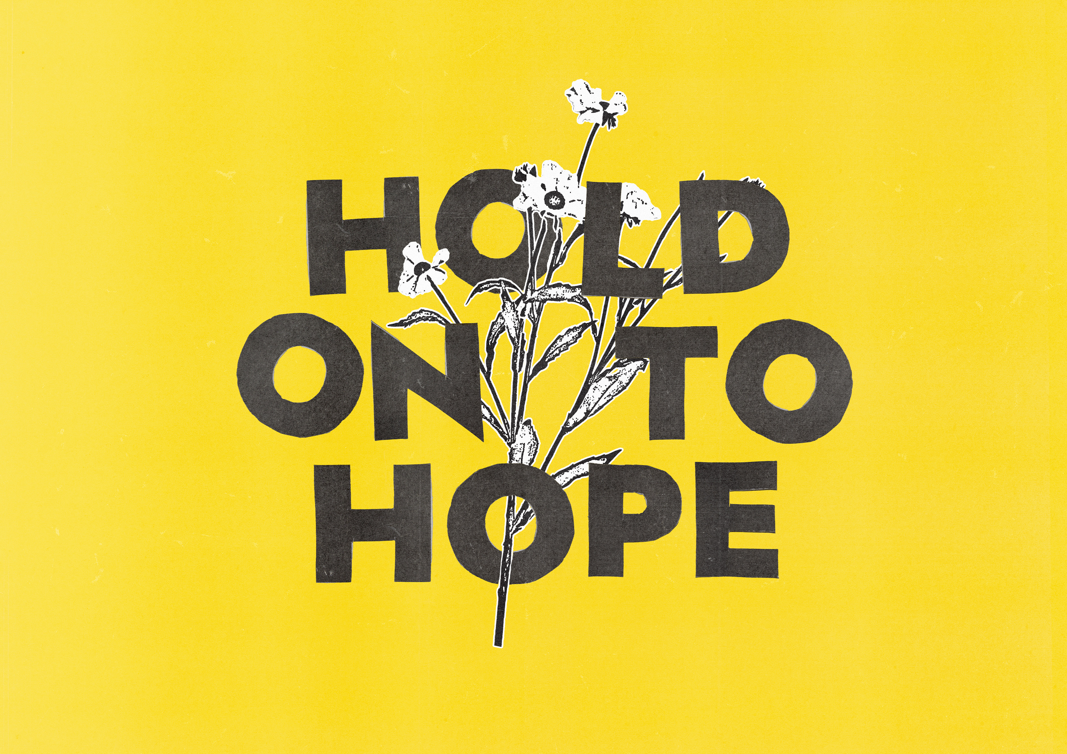 Hold on to Hope flowers